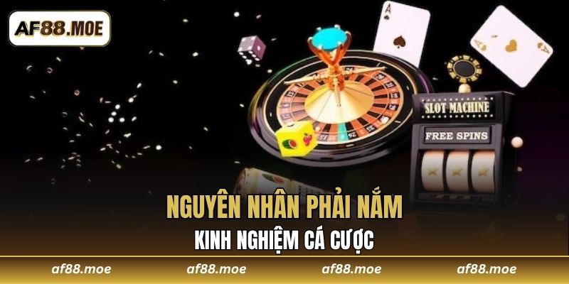 Nguyên nhân phải nắm kinh nghiệm cá cược