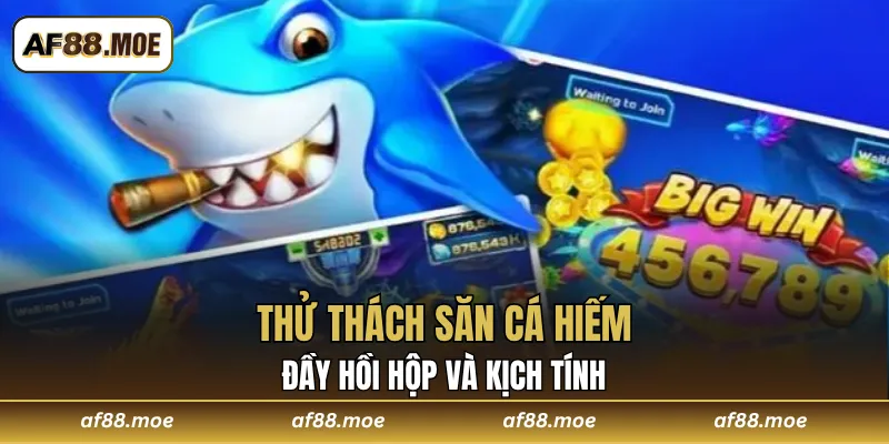 Thử thách săn cá hiếm đầy hồi hộp và kịch tính